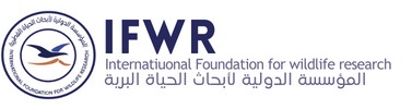 Logo of a land transport and trucking partner